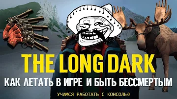 THE LONG DARK ⏩КАК ЛЕТАТЬ В ИГРЕ  И БЫТЬ БЕССМЕРТЫМ ⏩УЧИМСЯ РАБОТАТЬ С КОНСОЛЬЮ.☢️☢️☢️