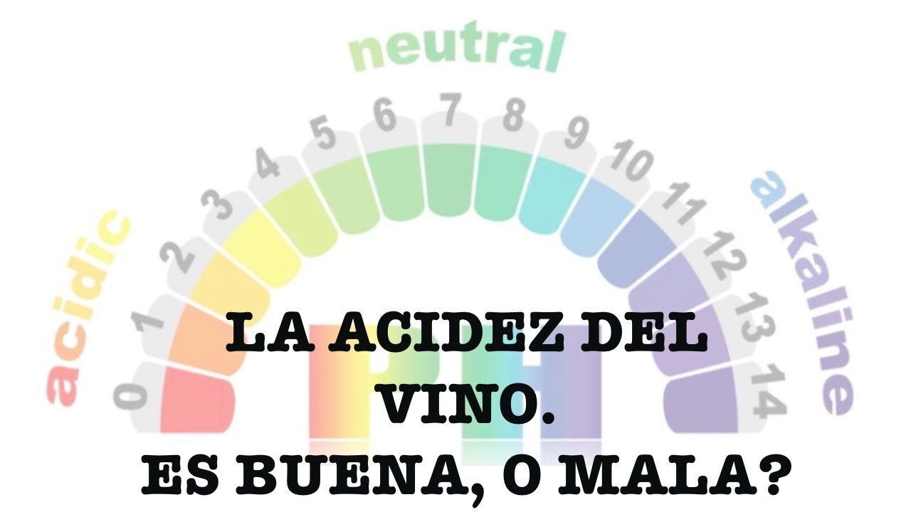 (38) LA ACIDEZ DEL VINO. ES BUENA, O MALA?
