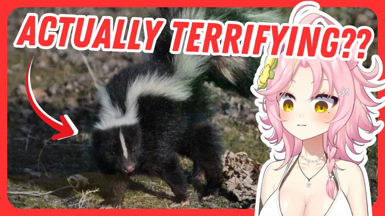 Skunks Are Way Scarier Than I Thought... | Maddiekuma Reacts