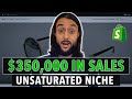 See How This UNSATURATED Shopify Dropshipping Niche Store Made $350,000