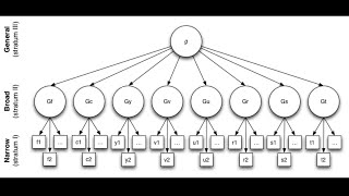 Intelligence Part 1