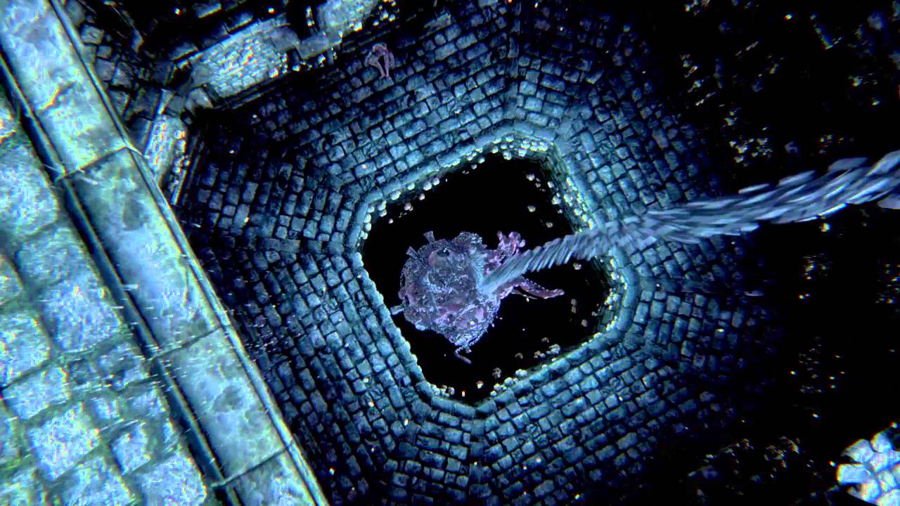 Bloodborne™dropping frenzy brain