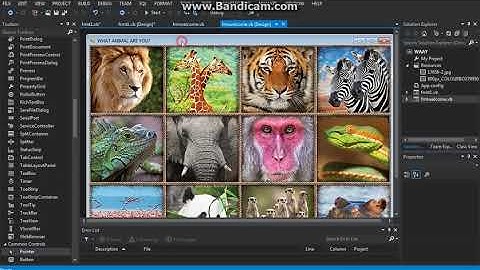 Visual Basic .NET - What animal are you? Tutorial Part 2