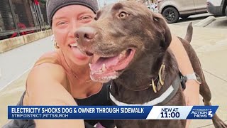 Woman And Dog Shocked By Live Electricity From Pittsburgh Light Pole During Run