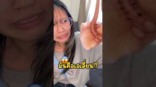 ทำไมชีวิตนี้เจอแต่ของเล่นแปลกๆ  ? รีวิวของเล่น ของเล่นแปลกๆ ของเล่น