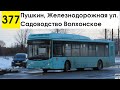 Автобус 377 &quot;Пушкин, Железнодорожная ул. - садоводство &quot;Волхонское&quot; (старая трасса)