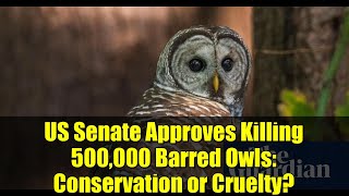 US Senate Approves Killing 500,000 Barred Owls: Conservation or Cruelty?