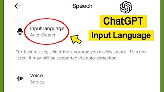 ChatGPT Input Language settings step by step guide