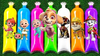UNBOXING: Cocomelon, JJ, Yoyo, Cody, Paw Patrol, Chase, Skye, Rocky, Marshall, Zuma, Rubble 