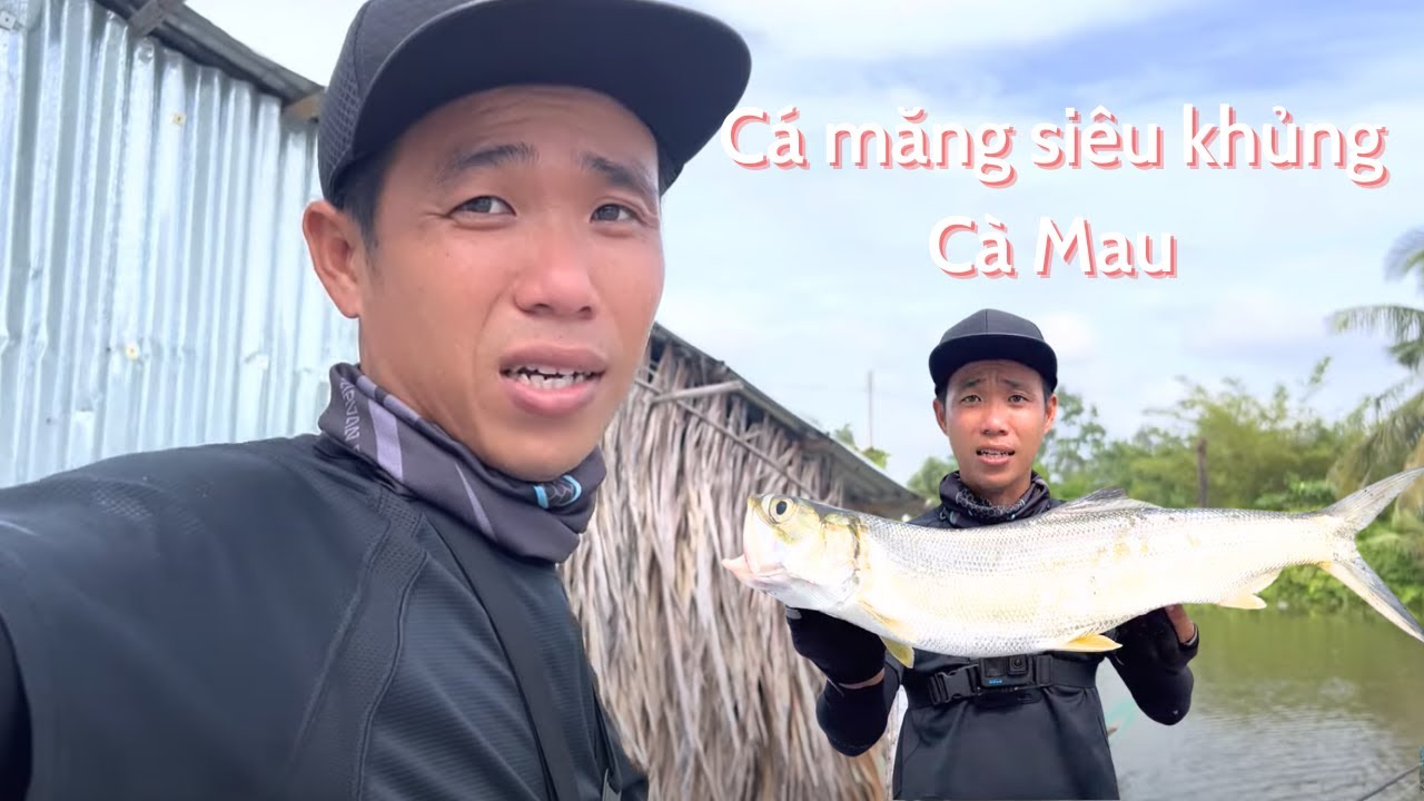 Truy tìm măng khủng cà mau
