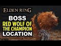 Red wolf of the champion gelmir heroes grave boss location  elden ring