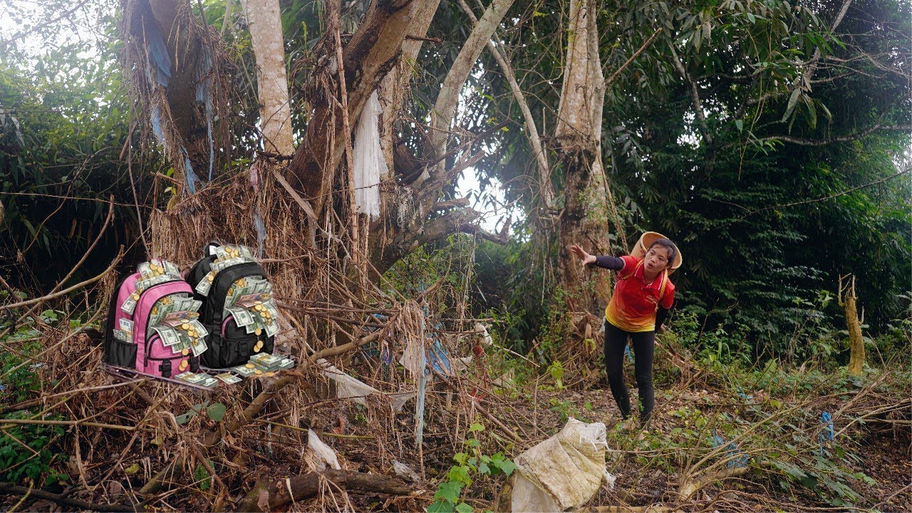 TIME LAPSE - Poor girl, while scavenging for trash, found a handbag containing a large sum of money