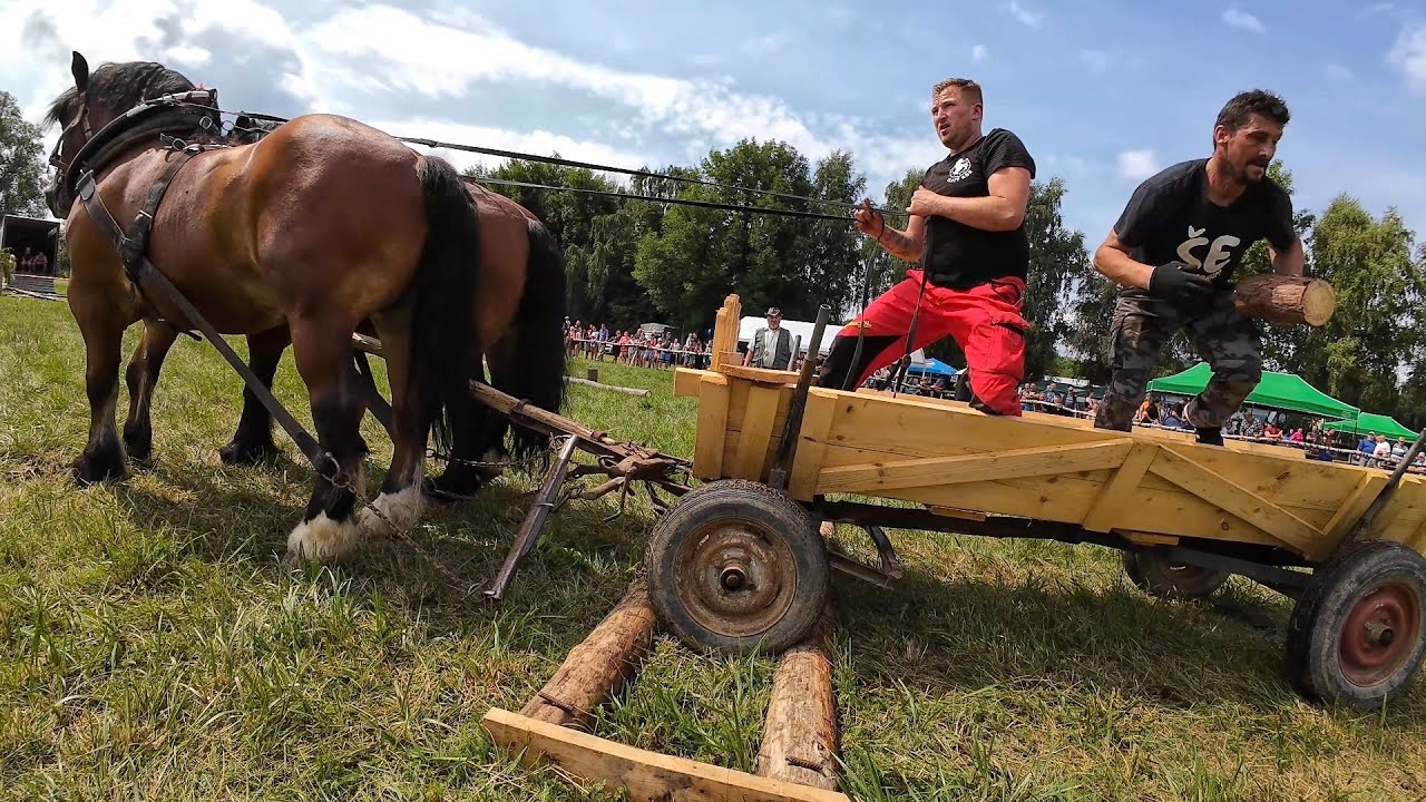 Furmanské preteky Čierne nad Topľou 2025
