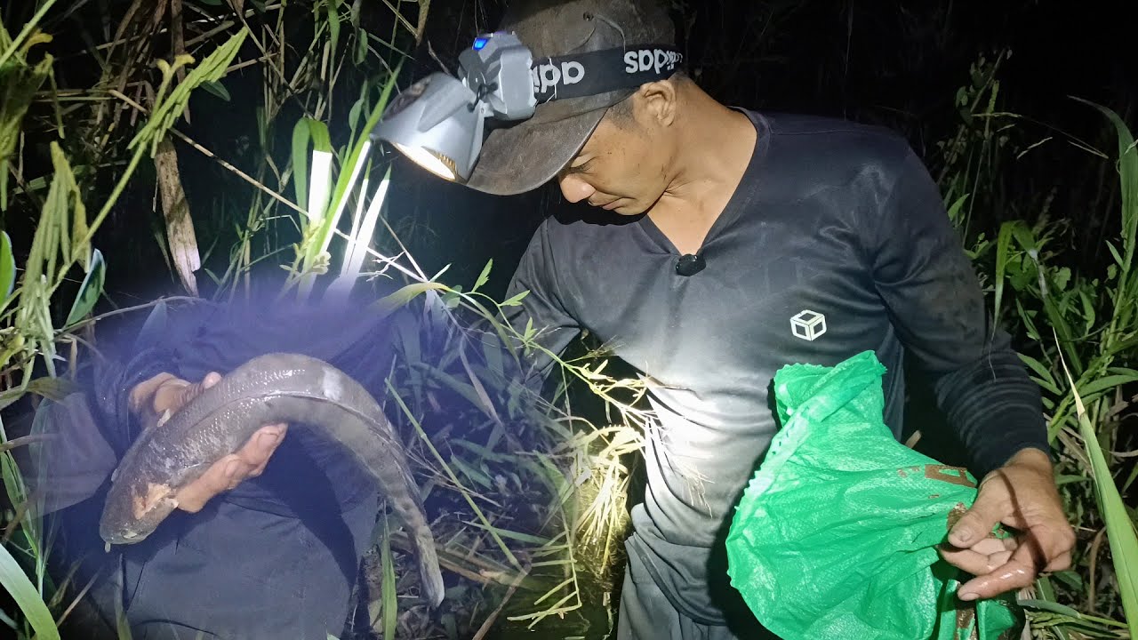 Еще одна ночь рыбалки, поймал вкусную рыбу, но насладиться ею не удалось.