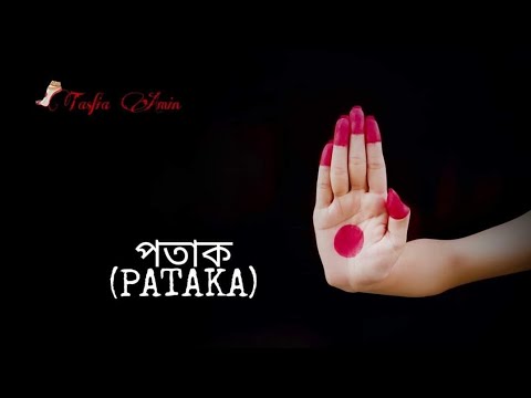 ভিডিও: নৃত্যশিল্পী টিউটোরিয়াল: 16 টি ধাপ ভিডিও: নৃত্যশিল্পী টিউটোরিয়াল: 16 টি ধাপ