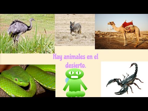 Hay animales en el desierto | Canción de Acción Para Niños | Canciones Infantiles Robot Meloncio