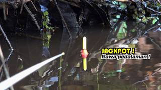 ASTAGA! Langsung dimakan ikan sekalinya pemancing jatuhkan umpan #SG-486
