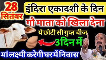 28 सितंबर इंदिरा एकादशी के दिन चुपचाप गाय को खिला देना ये 1 छोटी सी चीज 1 महीने में बनोगे करोड़पति