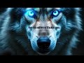 Wolf Madness: The Multiverse Collides 🐺⚡All Wolves. One Chaos.