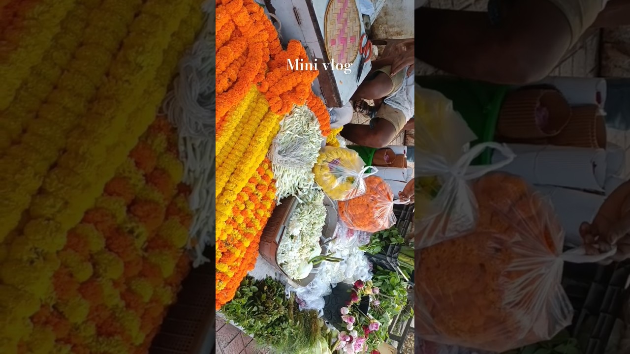 mini vlog💓 || vlog4 || brahmaputra heritage | 