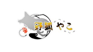 【ARK】いよいよ明日が決戦だ！！！最後までぬかりなくいくぞ！！！！！【野狐やこ】