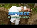 NA SIANECZKU, SIANIE - IMPRESS