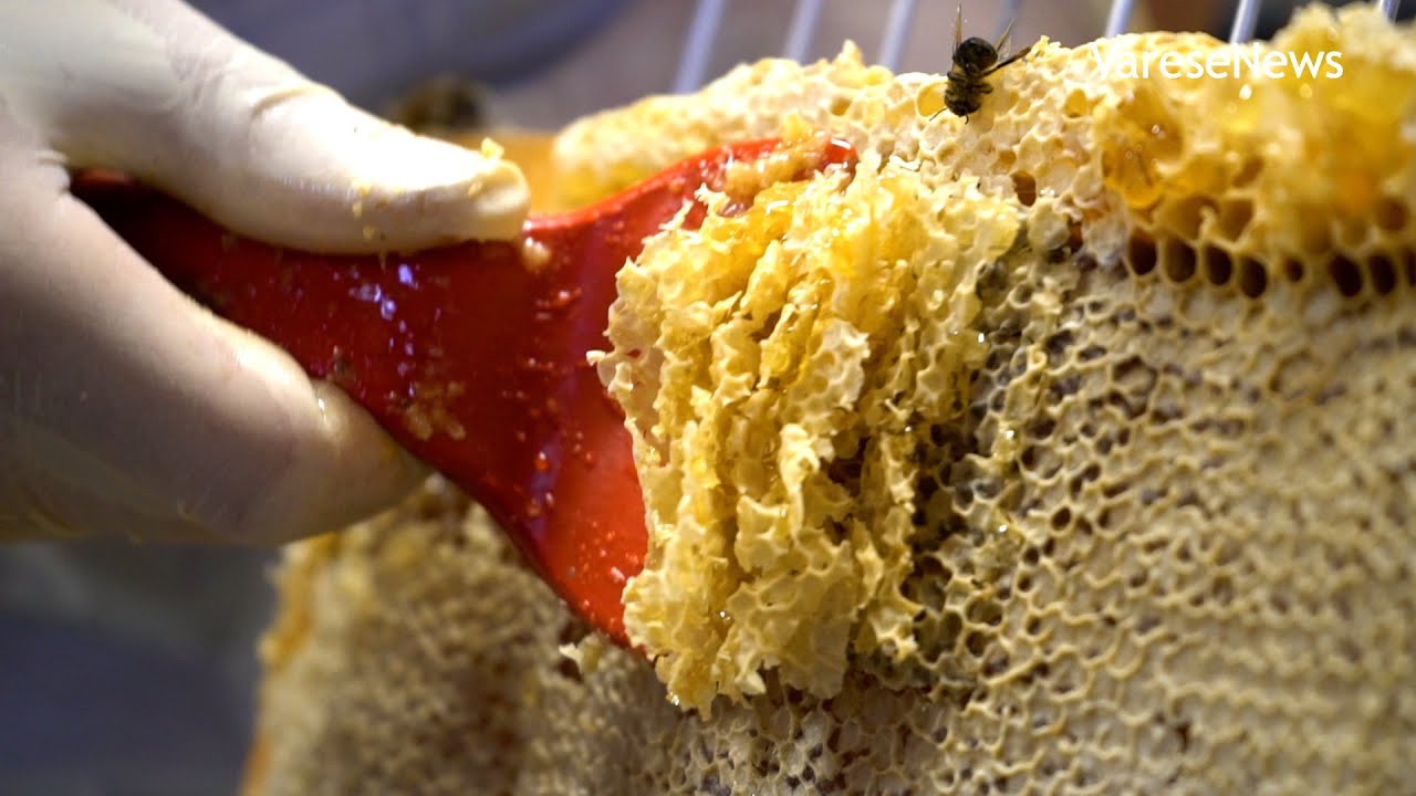 Dall'arnia al vasetto: ecco come si 