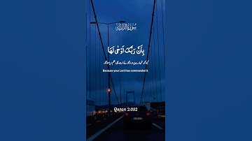 سورة الزلزلة تلاوة مباركة بصوت جميل #quran #اكسبلور #راحة_نفسية  #القرآن_الكريم