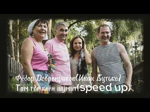 Фёдор Добронравов - Там где клён шумит(speed up) • Песня, от которой нахлынет ностальгия • Сваты