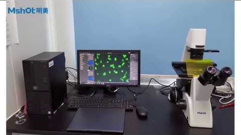 MSHOT MF52-N Inverted Fluorescence Microscope
