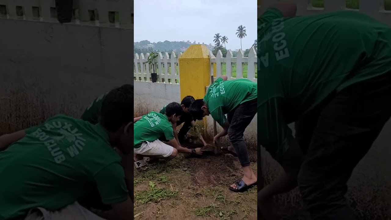 Van Mahotsav Week...