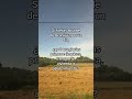Alcalde de Aranjuez por un día…