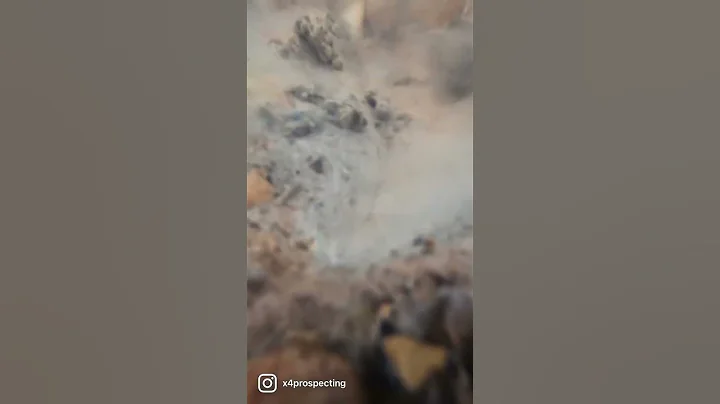 Gold Dredge Prospecting - Amazing gold on Bedrock