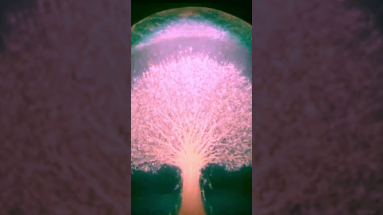Tree of life meditation