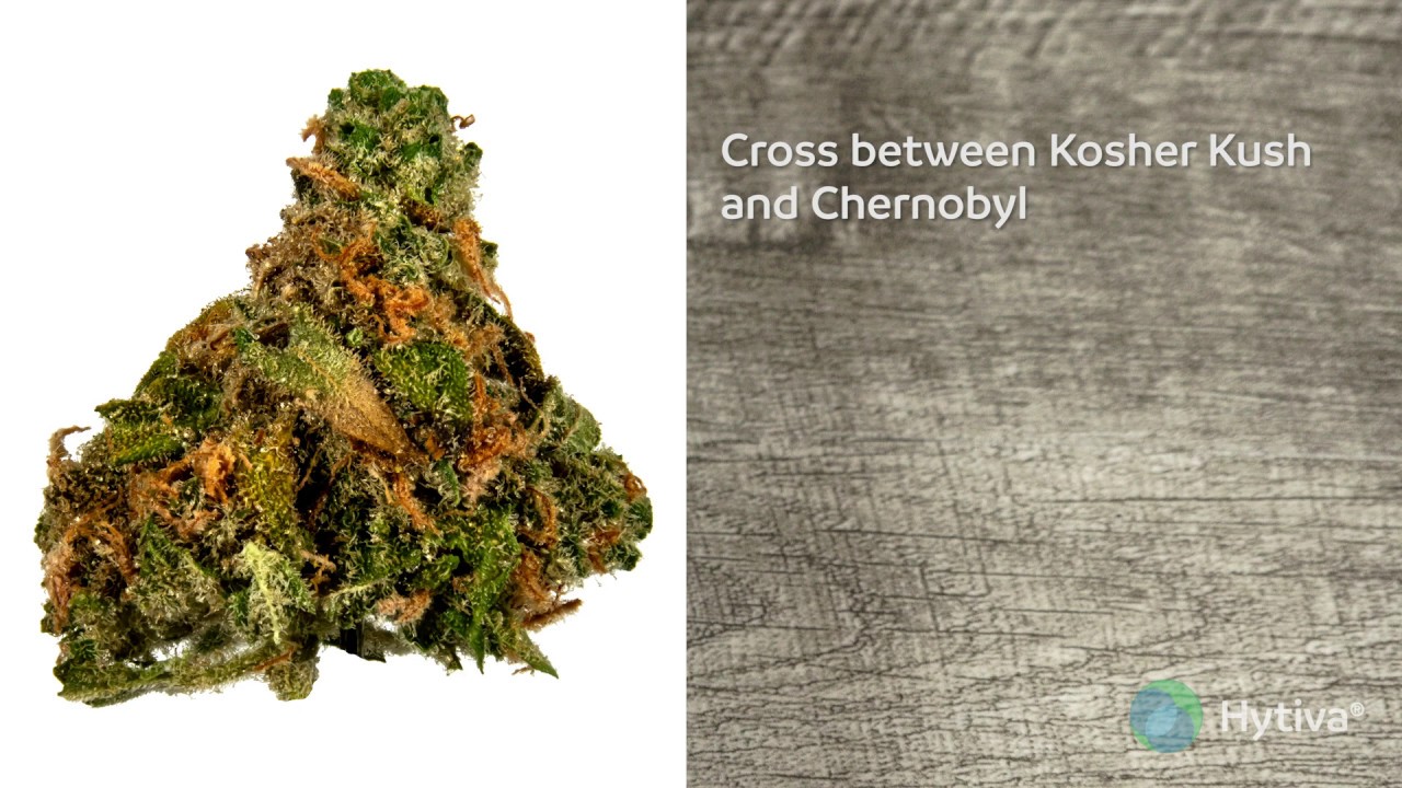 Strain Review: Limelight