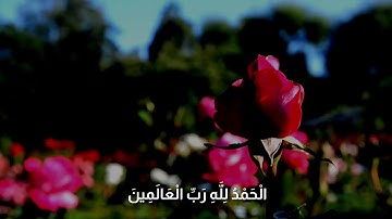 سورة الفاتحه بصوت جميل 🌺🌻 حالات واتس دينية جميله