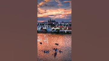 آية من سورة الحجرات #explore #قطر #القرآن_الكريم  #اكسبلور