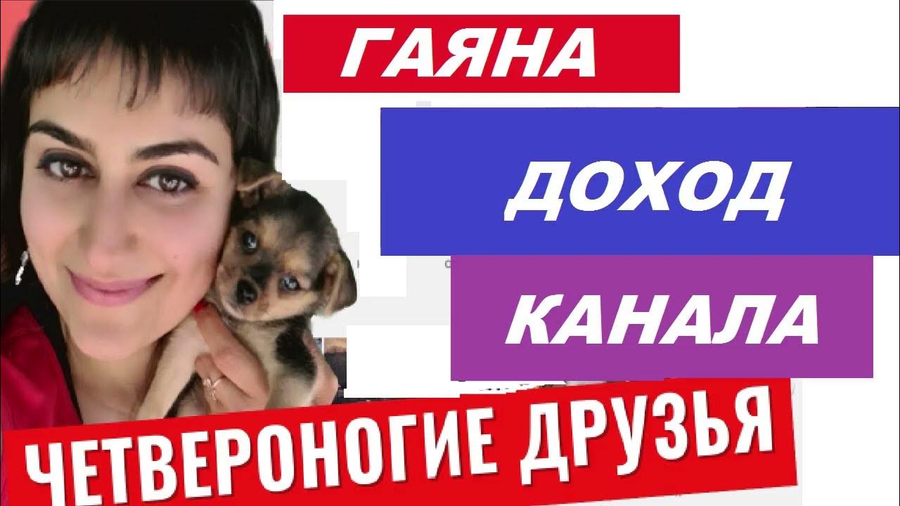 Четвероногие друзья блогер гаяна. Блогерши четвероногие друзья. Четвероногие друзья гаяна дзен канал. Четвероногие друзья гаяна дзен канал. Гаяна из канала четвероногие друзья.