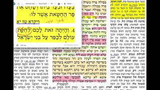 דף יומי מסכת יומא דף מב Daf yomi Yoma daf 42 שמואל נבון
