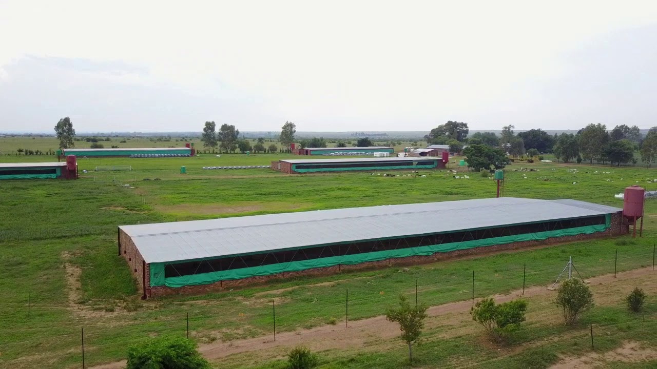 3 Leeudoringstad Poultry / Sheep / Cattle Farms on the Vaalriver Auction  Property24 - 2019