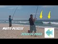 PESCARIA NA PRAIA DA RESERVA COM MUITO PEIXE (pampo, galhudo, riscadinho e xerelete) - Bello Peixe