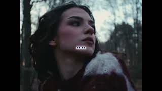 Keiner hat gesagt-@Lyza.mp3(Lyrics)