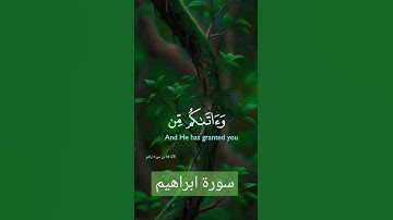 سورة ابراهيم #quran #duet #دويتو #صباحالخير #دعاء #دعاءمستجاب #لايك #حالاتواتس #تيك_توك #حالات_واتس