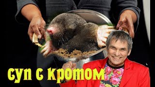 #Суп-с-Кротом. 1-я серия. Эксперимент. Жидкость для труб крот. Алибасов.