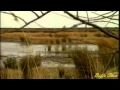Miniature de la vidéo de la chanson Sleepy Shores