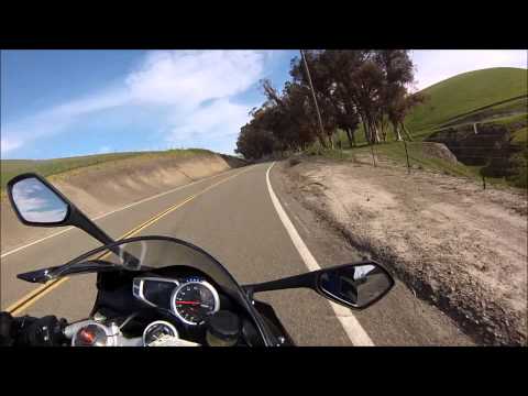 Triumph Daytona *Bread & Butter Triumph Daytona *Bread & Butter