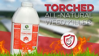 Torched All-Natural Weed Killer: Eliminate Weeds Without Harming Your Birds