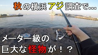 【象の鼻パーク】10月横浜秋アジサビキ調査！神奈川県の変な形の堤防で釣ったでかアジの泳がせ釣りをしていたら…！【2020.10.05】