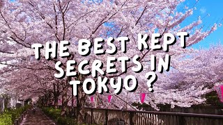 Blossom Secrets: Tokyo's Top Hidden Sakura Spots Revealed!