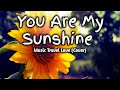 You are my sunshine Lyrics||Music Travel Love (Cover)
